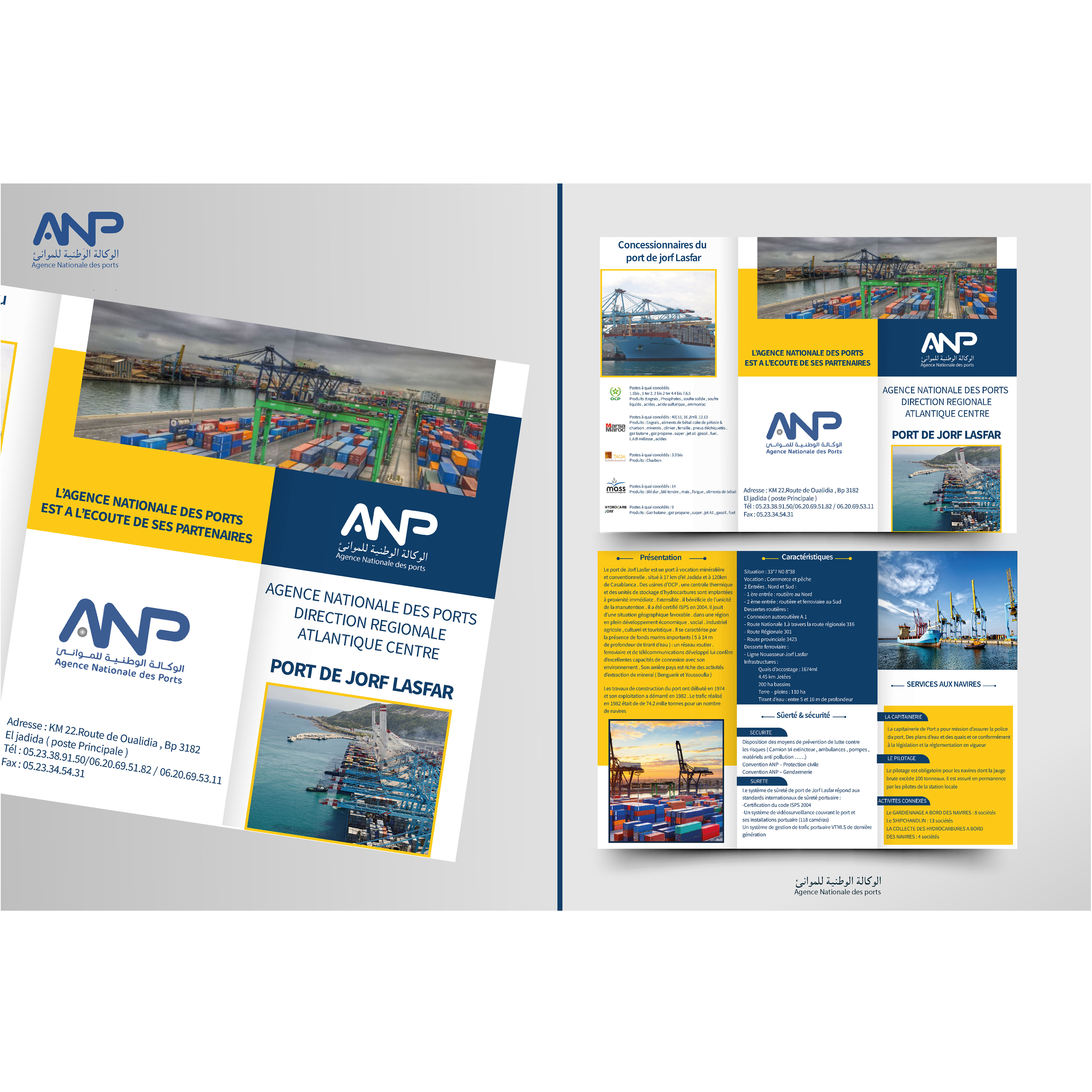 Portfolio Detail Image 7